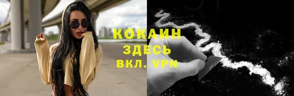 винт Алзамай