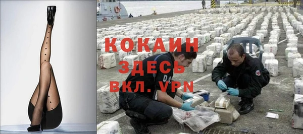 винт Алзамай