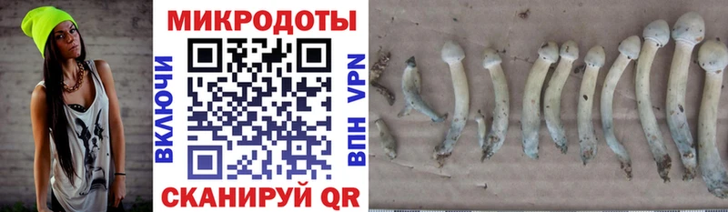 где найти МЕГА ссылки Галлюциногенные грибы Magic Shrooms Далматово